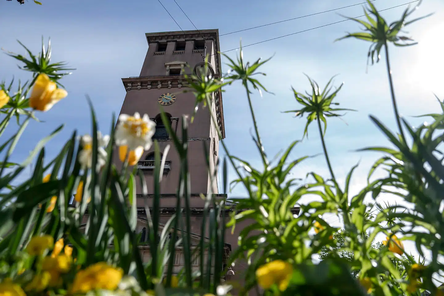 Vor Frue Kirke – Københavns domkirke – midt i København, hvor den pågældende ansatte har arbejdet i årevis. Han er nu fritaget for tjeneste.