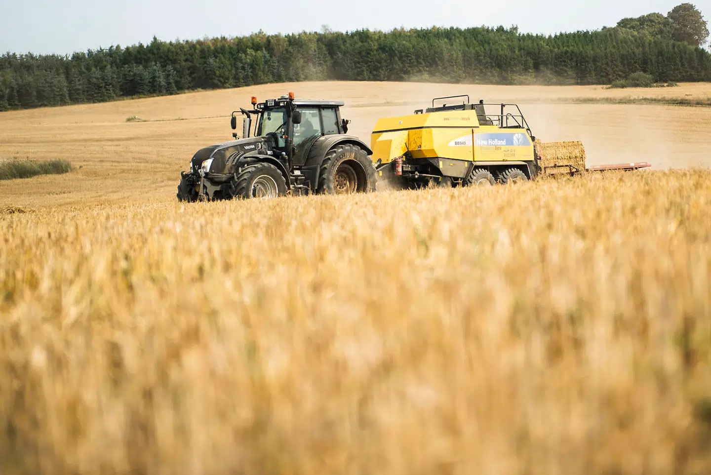 Der er flere ledige end i arbejde, viser de nye tal. De er dog behæftet med en vis usikkerhed.