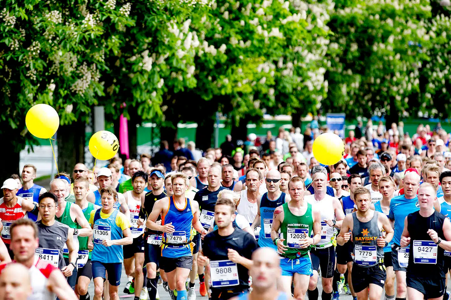43. udgave af Copenhagen Marathon løber af stablen søndag 15. maj.