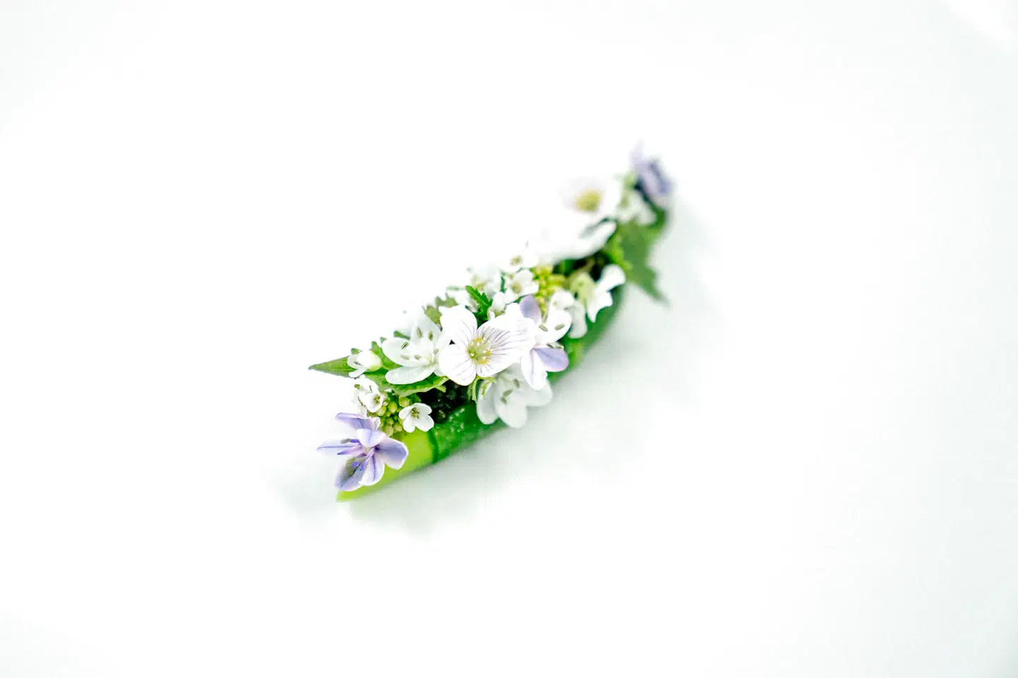 Store nye asparges med kaviar.