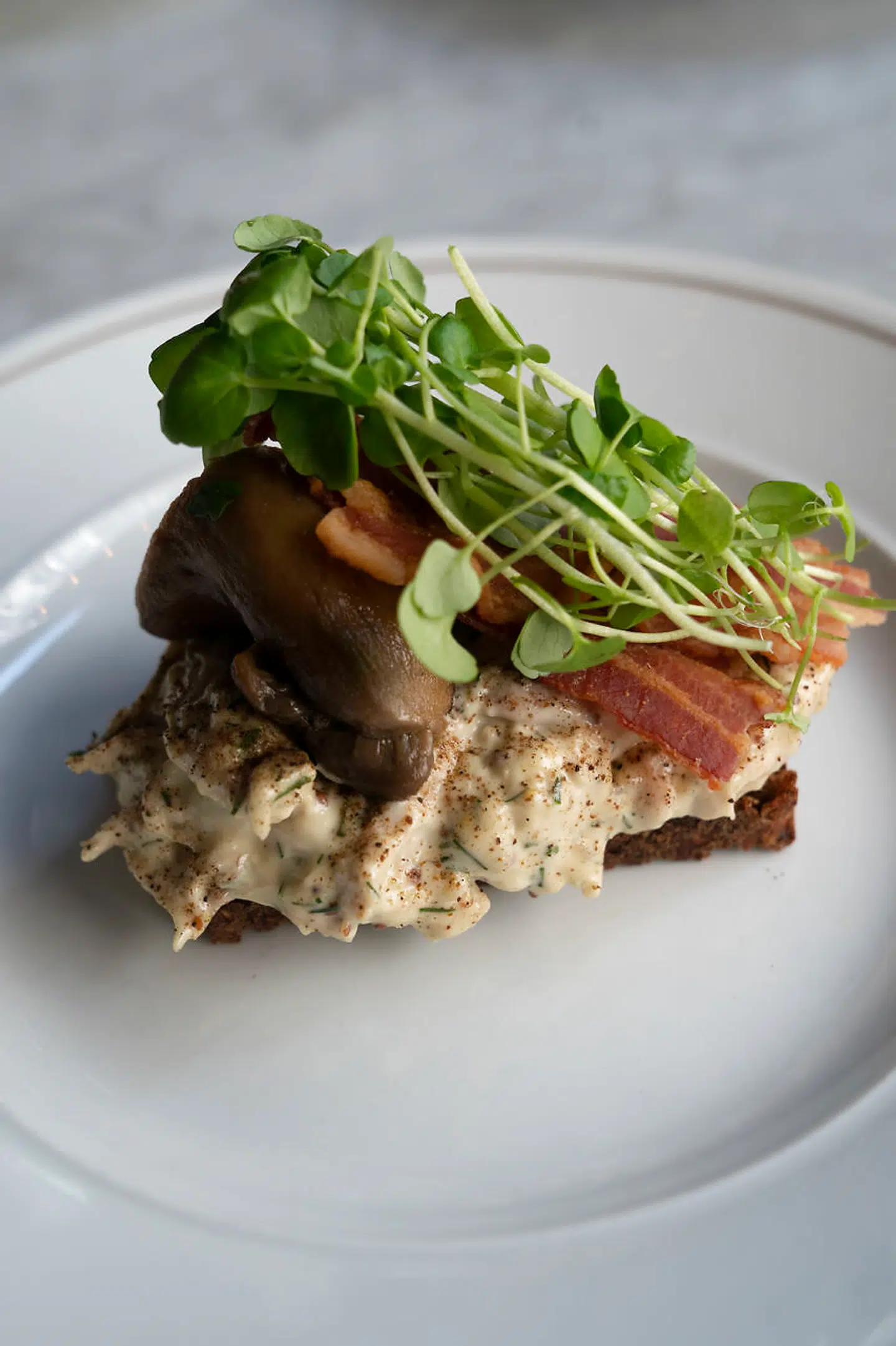 Café Victors hønsesalat med konfiterede Karl Johan svampe er en af byens bedste.