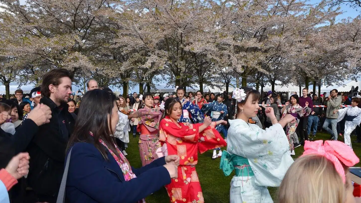 Geishaer danser til Copenhagen Sakura Festival i 2017.