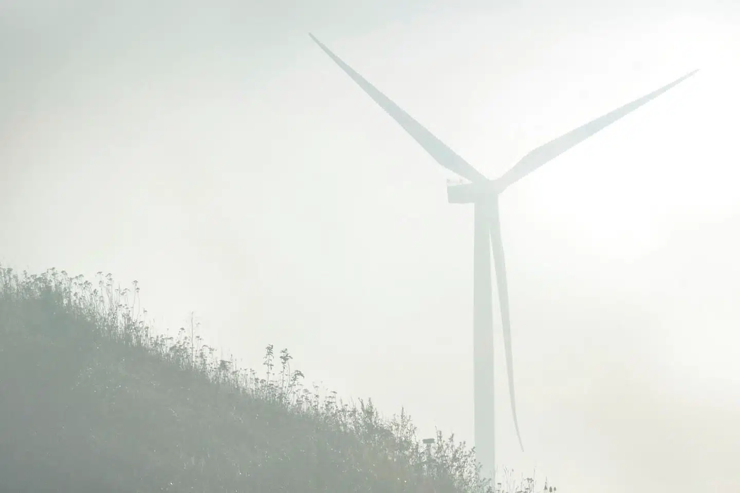 Regeringen har med planen »Danmark kan mere II« en ambition om at firdoble produktionen fra solcelleparker og landvindmøller frem mod 2030.