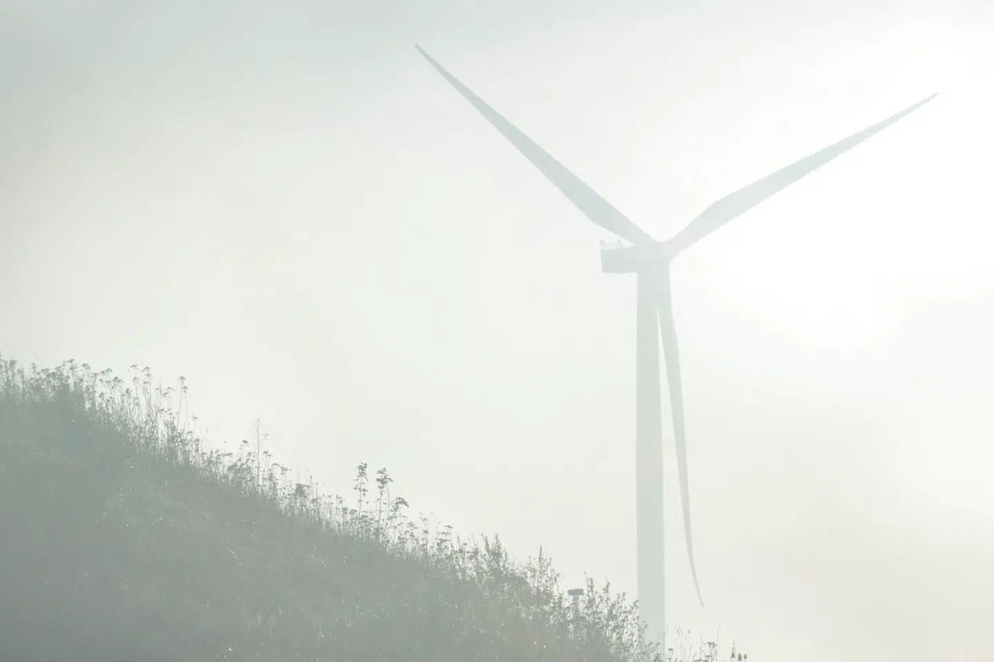 Regeringen har med planen »Danmark kan mere II« en ambition om at firdoble produktionen fra solcelleparker og landvindmøller frem mod 2030.