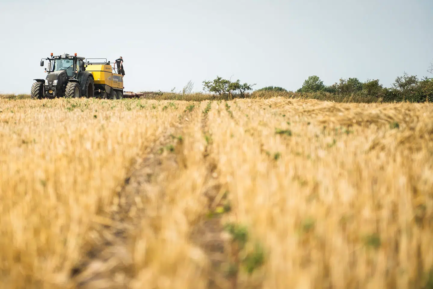 »Hverken Danmark eller andre lande kan lykkes alene. Helt grundlæggende er fælles, europæiske løsninger nødvendige for at imødegå konsekvenserne af den aktuelle fødevarekrise,« skriver Peder Tuborgh.