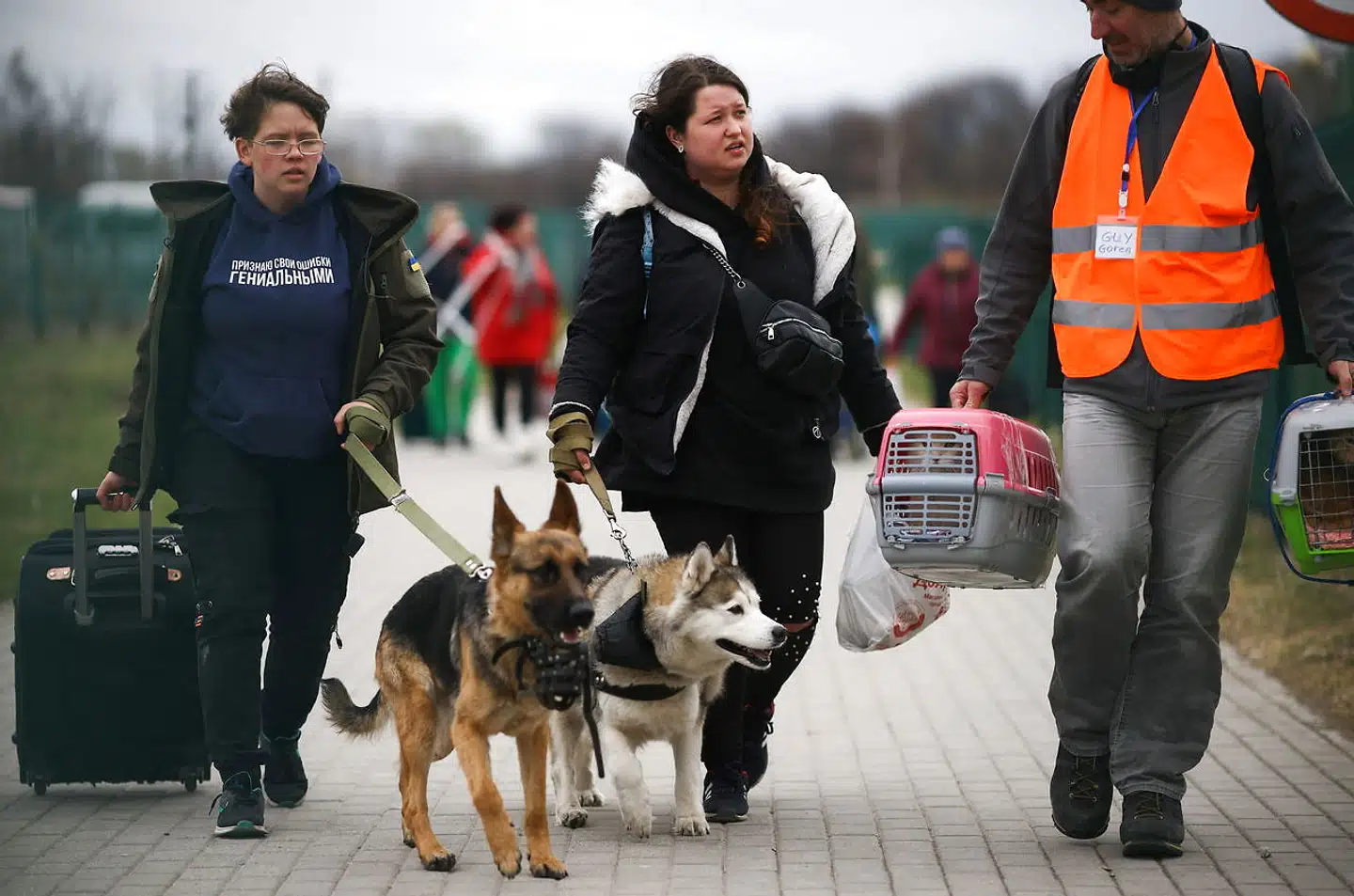 Ukrainske flytgninge med kæledyr krydser grænsen til Polen ved byen Medyka 6. april i år.