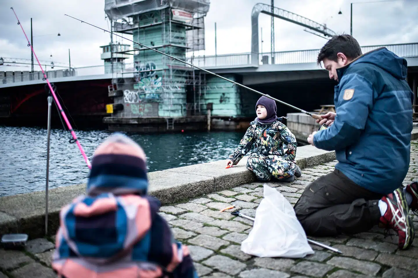Fødevarestyrelsen vil føje torsk til listen over fisk, som er omfattet af fiskeforbud i Københavns havn.