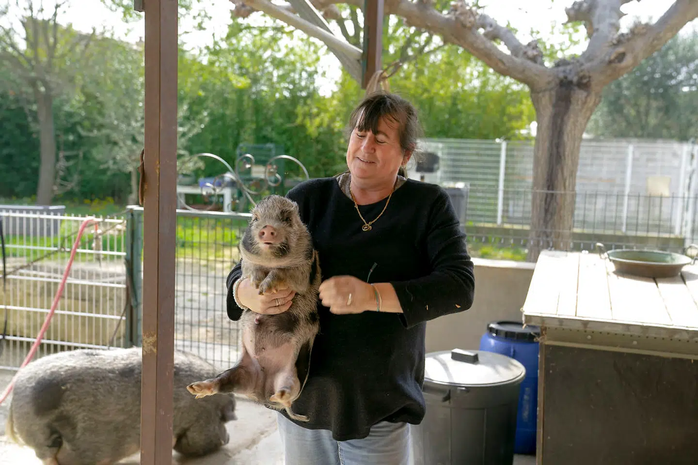 Sylvie Jaumes med den ene af hustandens to tamme grise, Peponnot. I baggrunden er Chorizo vågnet fra sin siesta.