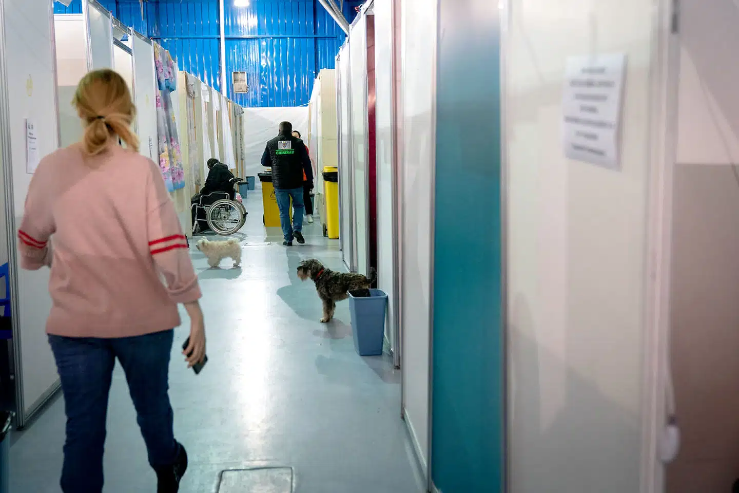 Sundhedsstyrelsens »hovedscenarie« er, at der vil komme 20.000 ukrainske flygtninge til landet. Men nogle skøn taler om, at der kan komme helt op til 100.000. Sundhedsvæsenet forbereder sig på at skulle tage mod en del flere patienter. Arkivfoto: Ida Marie Odgaard/Ritzau Scanpix