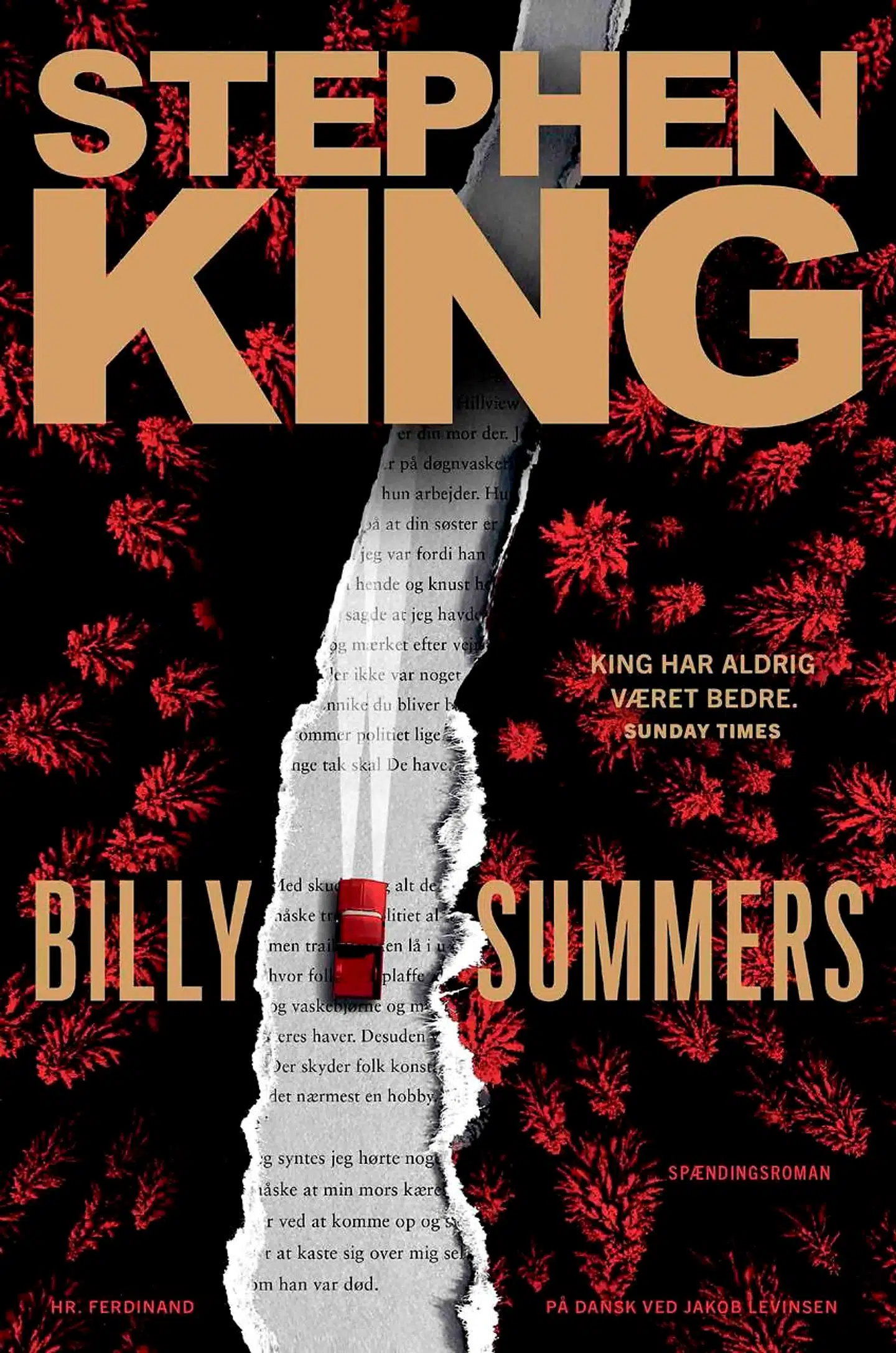 »Stephen King tilhører den kategori af forfattere, der egentlig ikke behøver nærmere introduktion. Bare navnet. Det er faktisk mere end rigeligt.«