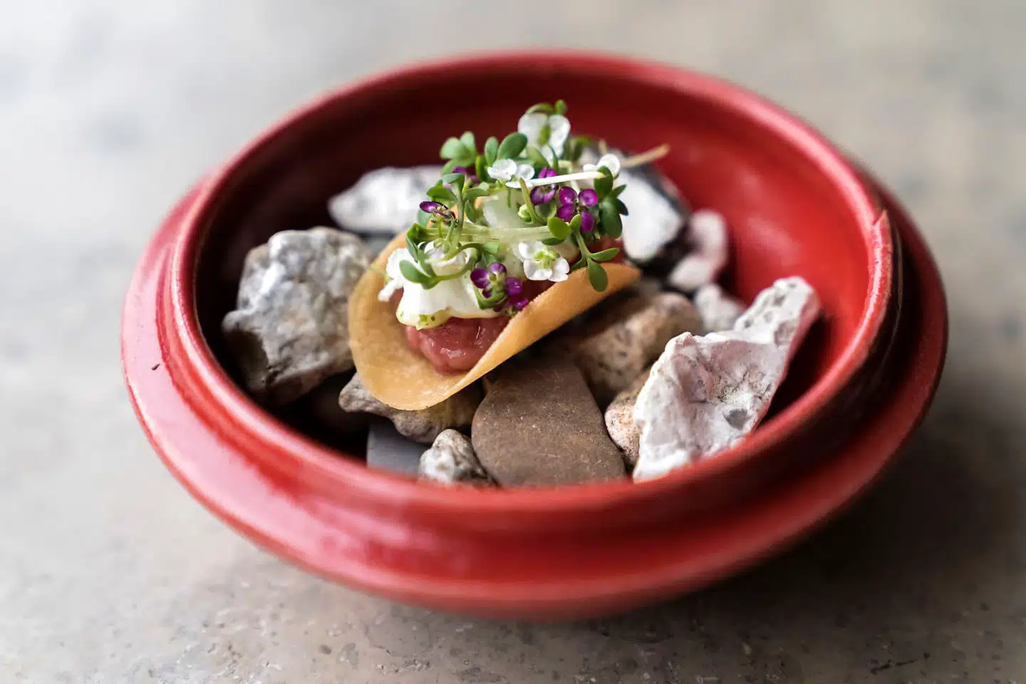 Sådan så en af retterne ud på Restaurant Studio, da Berlingske var forbi i efteråret. Restauranten er nu ved at finde ny placering, men i mellemtiden står køkkenchefen for en pop up i Tivoli.