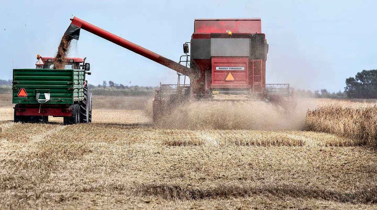 Danmark er et af Europas kornkamre, og vi har et ansvar for at opretholde en stor fødevareproduktion. Ja, vi har en pligt til at producere mad i stor stil for at undgå en humanitær katastrofe, skriver Peter Kiær