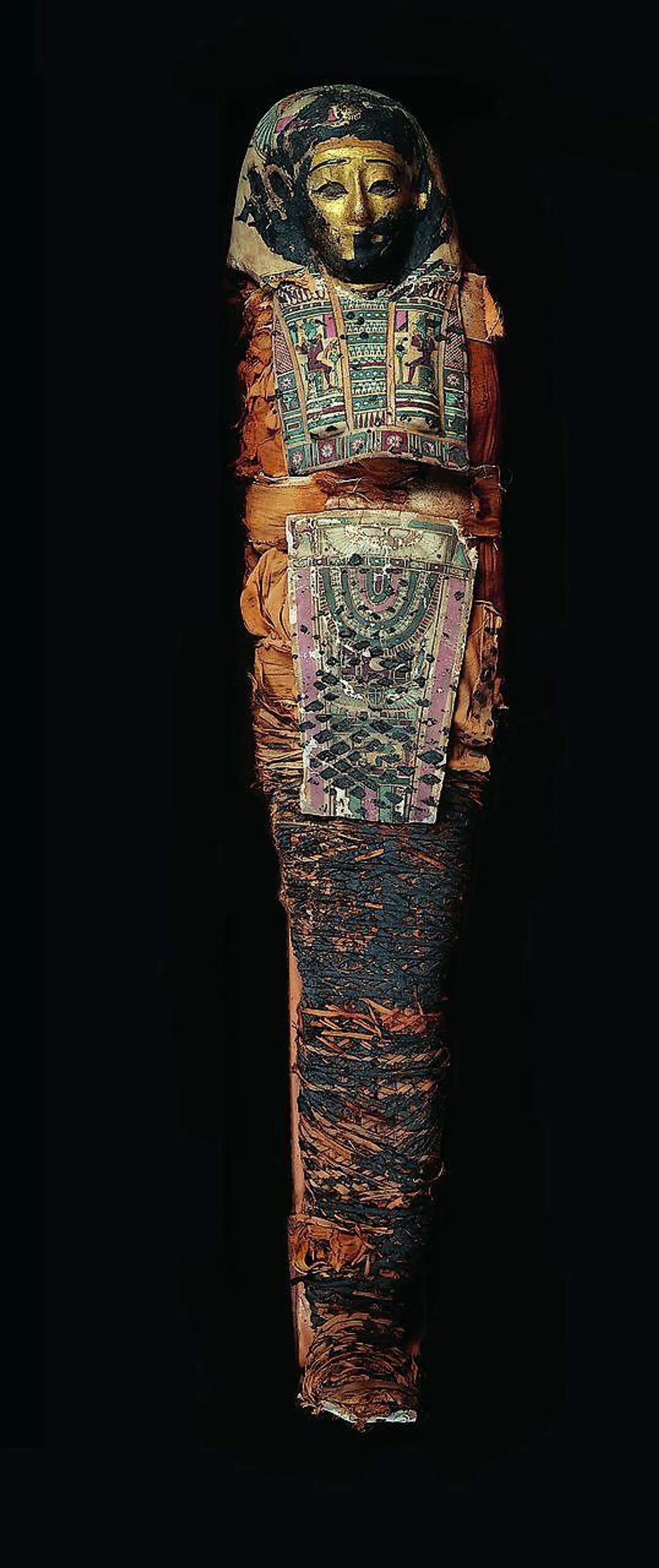 Mumie. Ca. 50 efter Kristi fødsel. Erhvervet fra Flinders Petries udgravninger i Hawara i 1911.