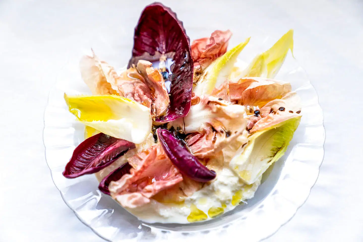 Cremet stracciatella-ost med radicchio.