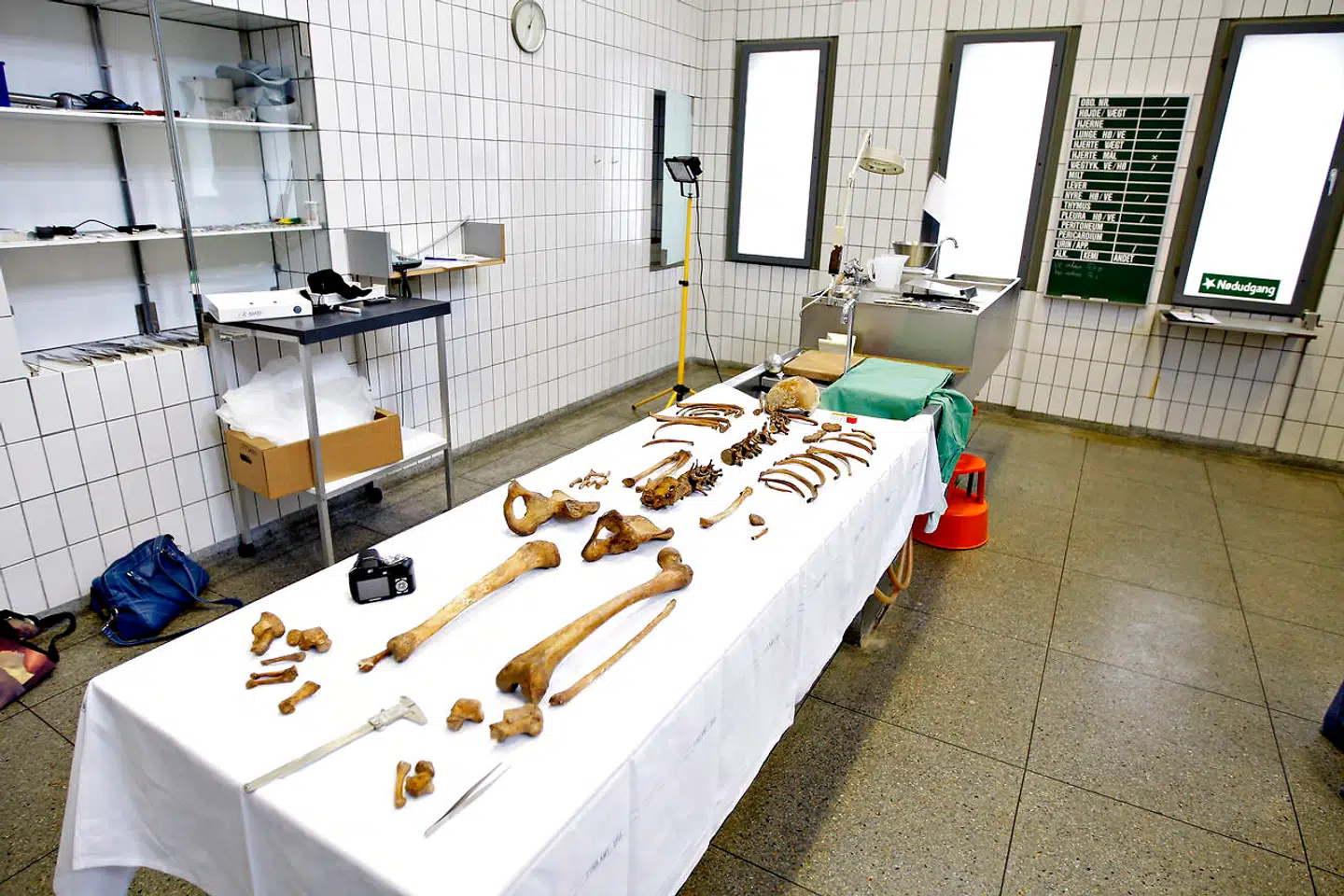 I 2008 undersøgte man Knud den Helliges jordiske rester for at fastslå dødsårsag og eventuelle sygdomme.