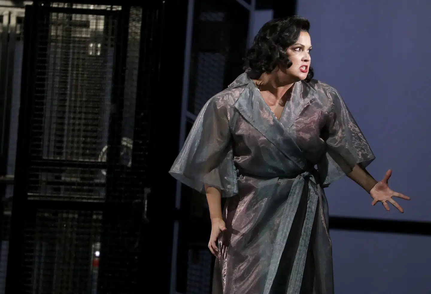 Anna Netrebko er en af verdens mest feterede operasangere. Men Netrebkos venskab med den russiske præsident, Vladimir Putin, og tidligere støtte til prorussiske separatister i Østukraine skaber problemer.