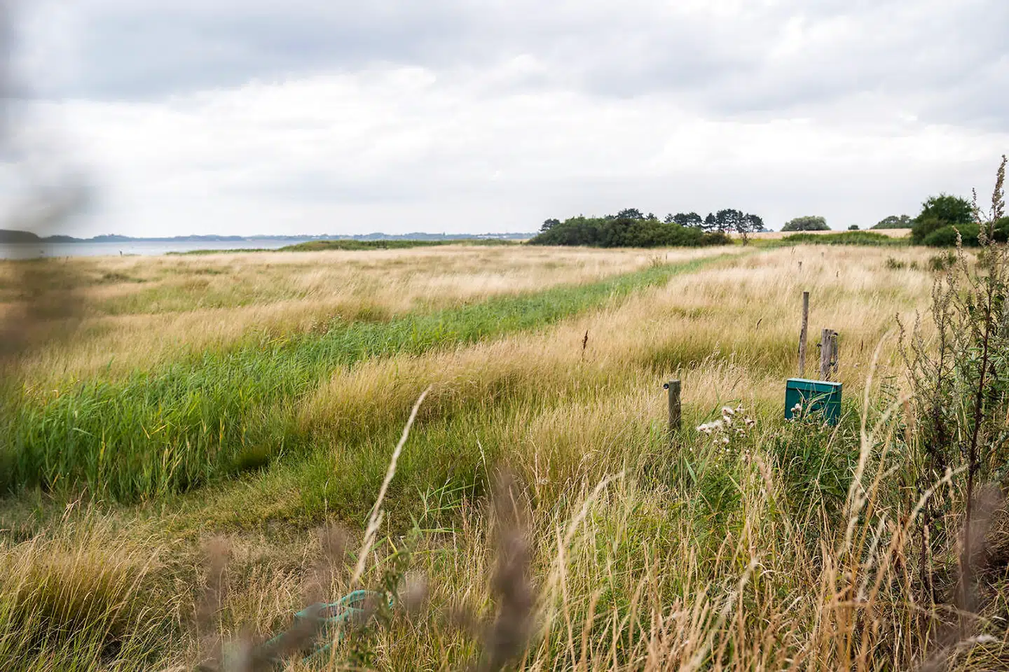 En status fra Miljøstyrelsen viser 52 lokaliteter med mulig sundhedsrisiko fra forurening. Arkivfoto.
