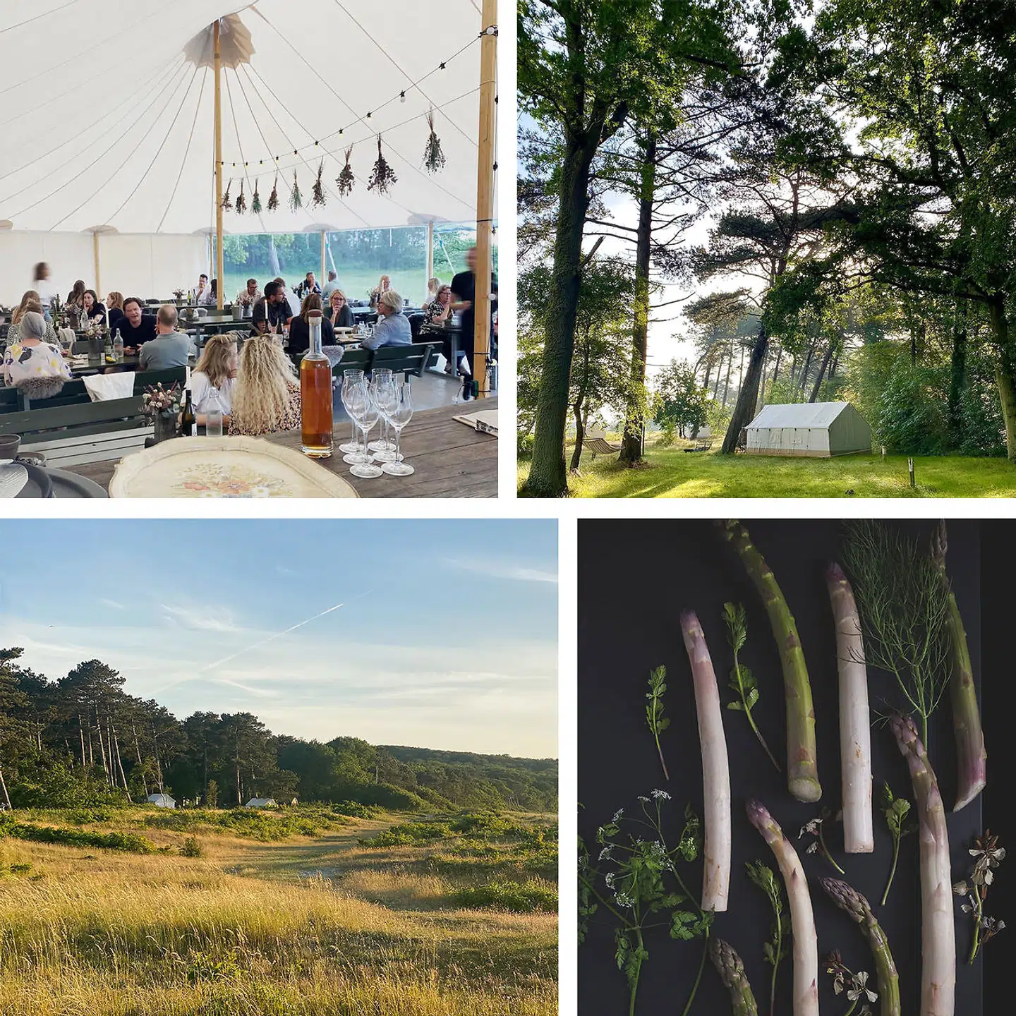 Folkene bag Formel B åbner Lille B ved Lillero Camping på Høve Strand i Odsherred.