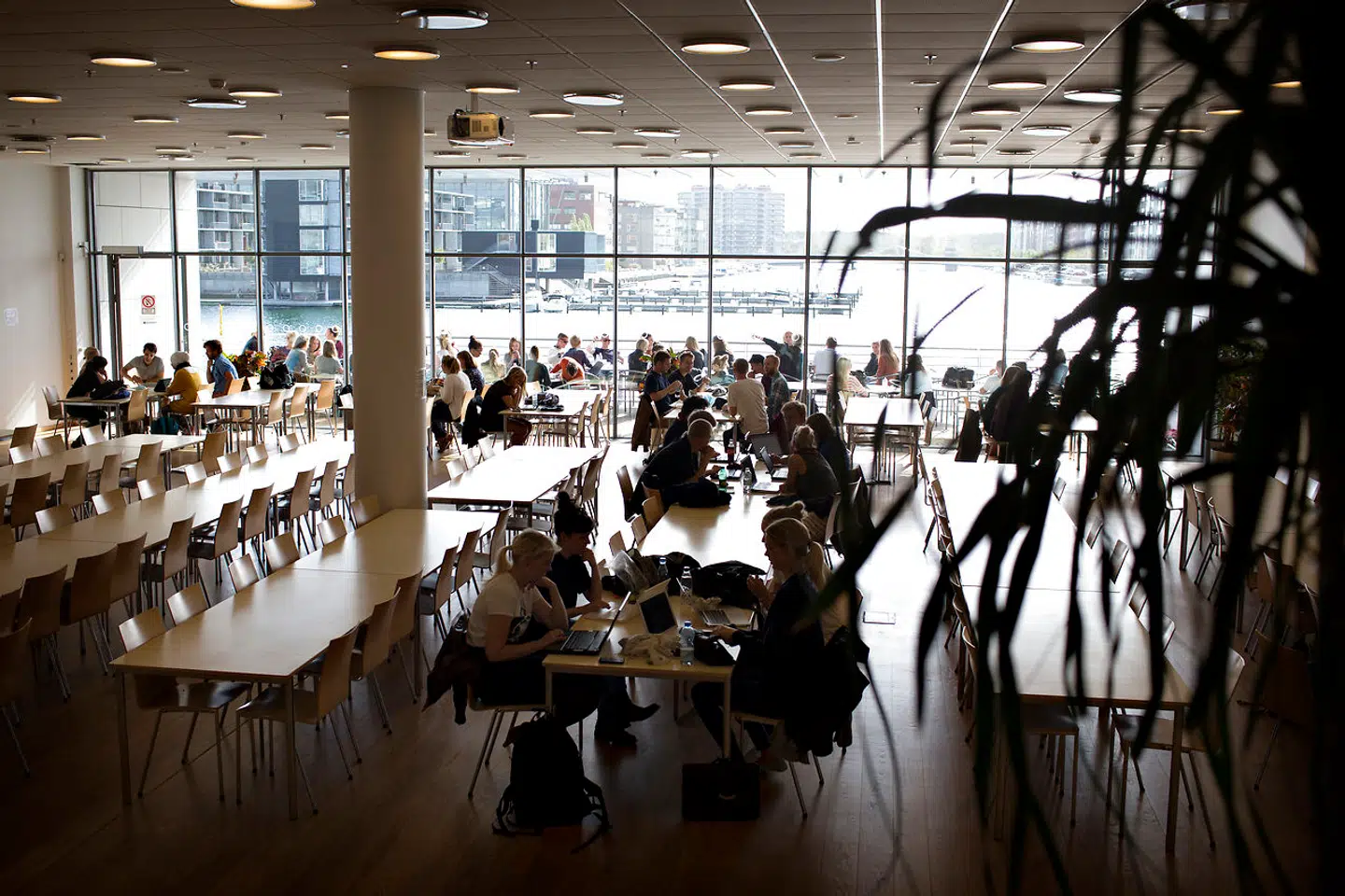 Fra næste år stopper Aalborg Universitet med at optage bachelorer på de humanistiske uddannelser på universitetets campus i Københavns sydhavn.