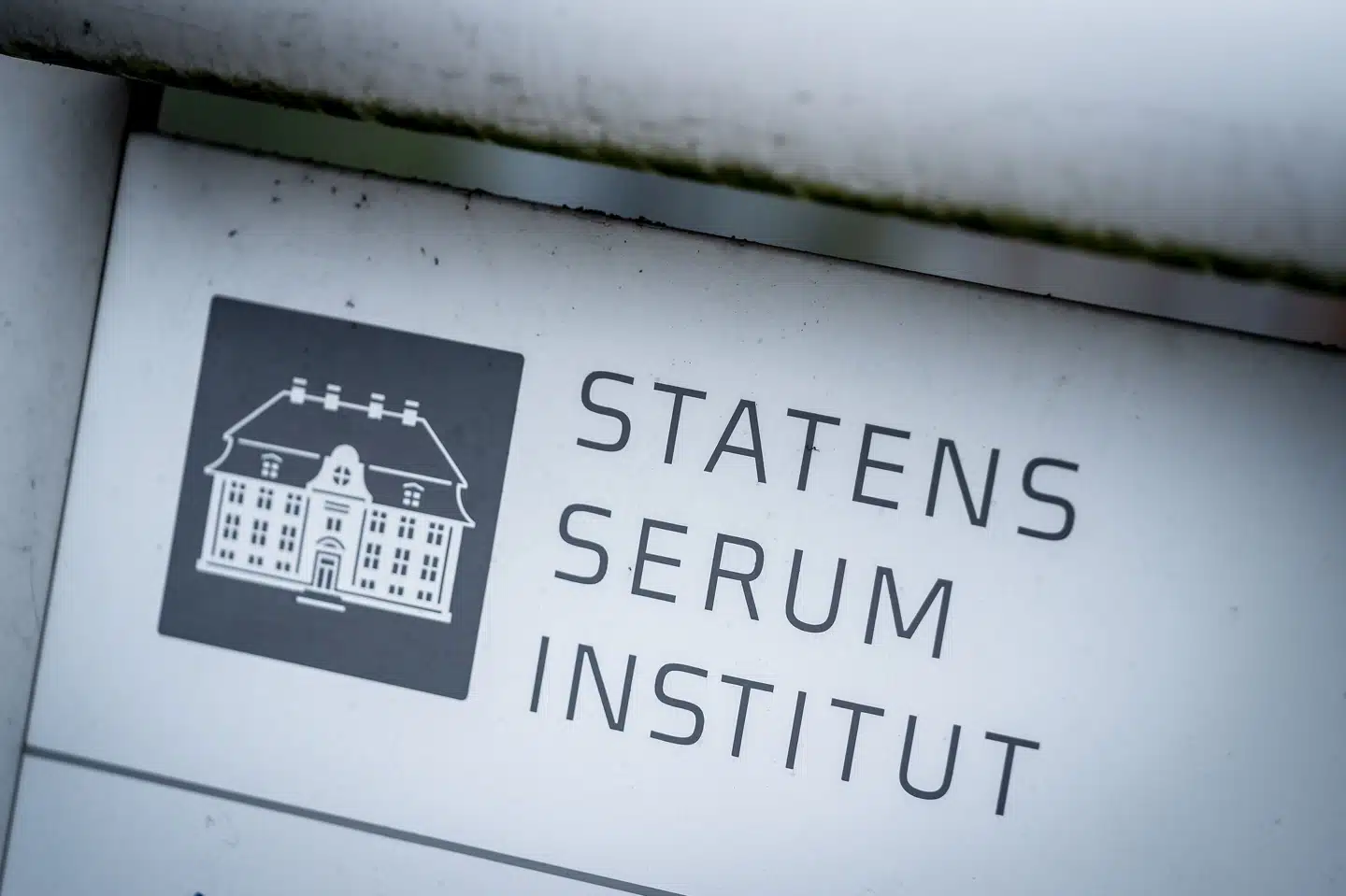 Forskere fra Statens Serum Institut arbejder på højtryk for at blive klogere på undervarianten BA2 af omikron, der er fundet i Danmark. Det fortæller Anders Fomsgaard, virolog og professor hos seruminstituttet. (Arkivfoto) Mads Claus Rasmussen/Ritzau Scanpix