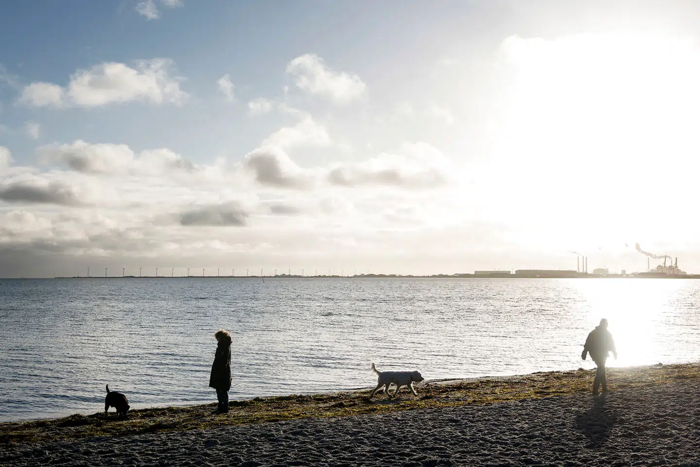 Der er planer om at bygge 20-30 almene ungdomsboliger i Bilharziosebygningen på Strandvejen i Charlottenlund. Arkivfoto: Sofie Mathiassen/Ritzau Scanpix