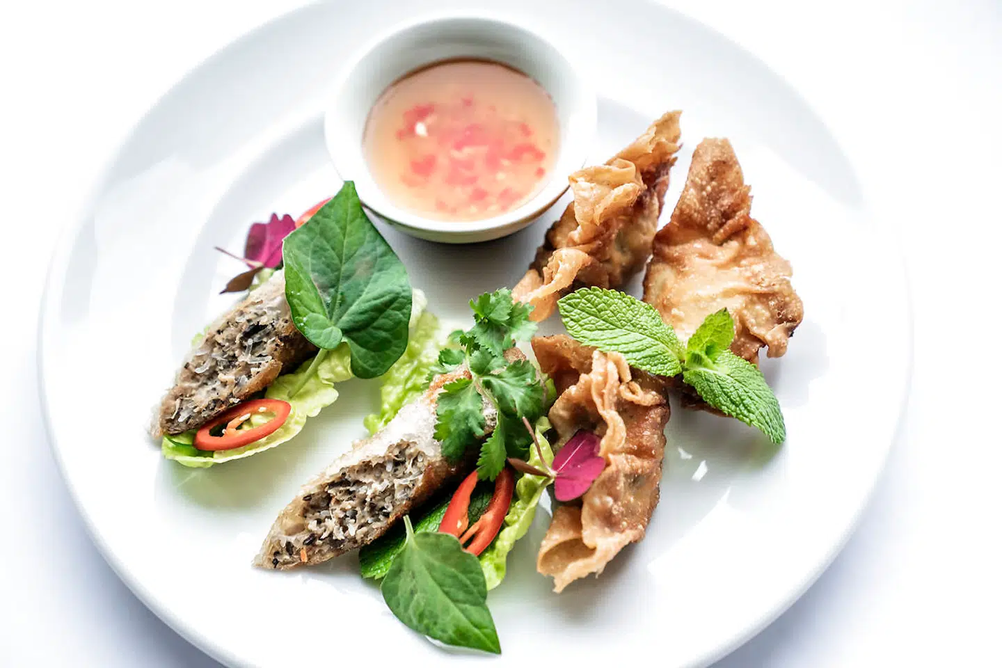 Forårsruller og wonton.