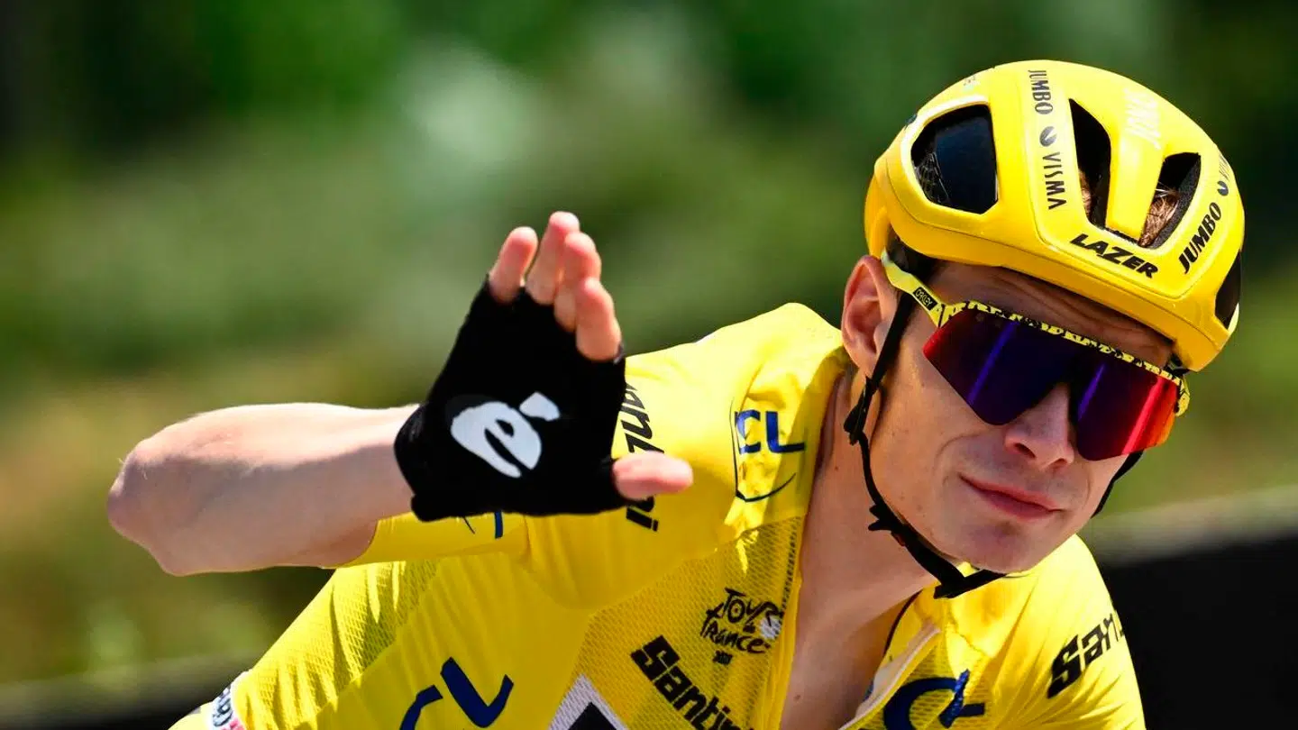 Danskeren svarede prompte på spørgsmålet fra den franske journalist.