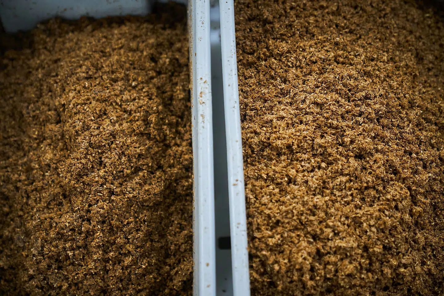 Agrain bruger det korn, der er brugt i ølbrygning, én gang til.