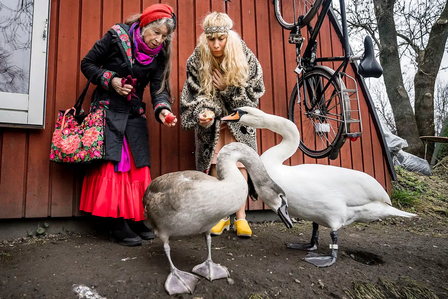 Anne Marie Helgers veninde Tanja har boet på Christiania i mange år, og hun lægger ofte vejen forbi det røde hus med svaner i baghaven.