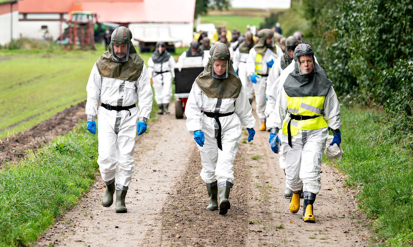 Coronakrisen har lært os noget om det danske kriseberedskab, og nu opfordrer to forskere til at tage konsekvensen. Her ses medarbejdere fra Fødevarestyrelsen og Beredskabsstyrelsen, da de deltog i aflivningen af mink på en farm i Gjøl i Vendsyssel.