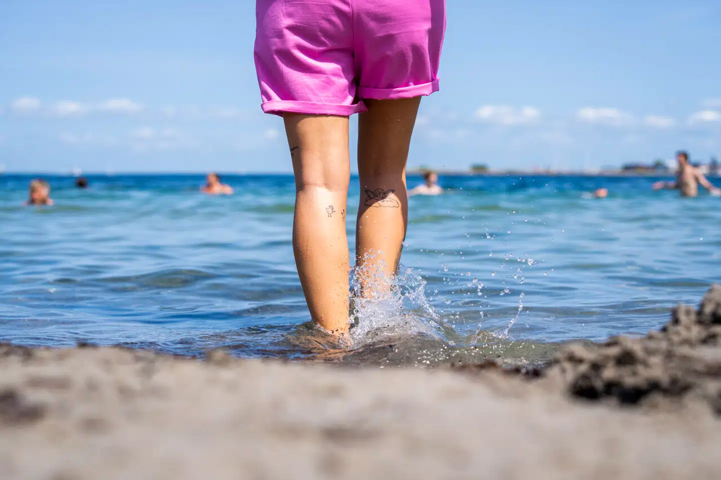 I år bliver bemærkelsesværdigt mange stukket af den giftige fisk fjæsing på Nordkysten. Det fortæller områdets cheflivredder til sn.dk.