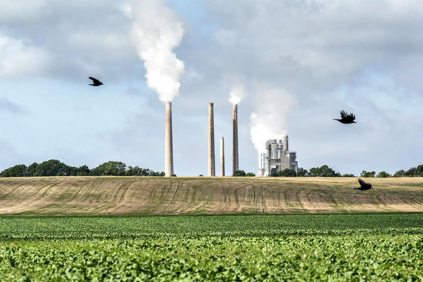 »Negative eksternaliteter findes, klimaeffekten fra fossile brændsler er et eksempel. Ufuldstændig konkurrence findes også, ikke mindst i den offentlige sektor og forårsaget af uhensigtsmæssig offentlig regulering,« skriver Ole P. Kristensen.