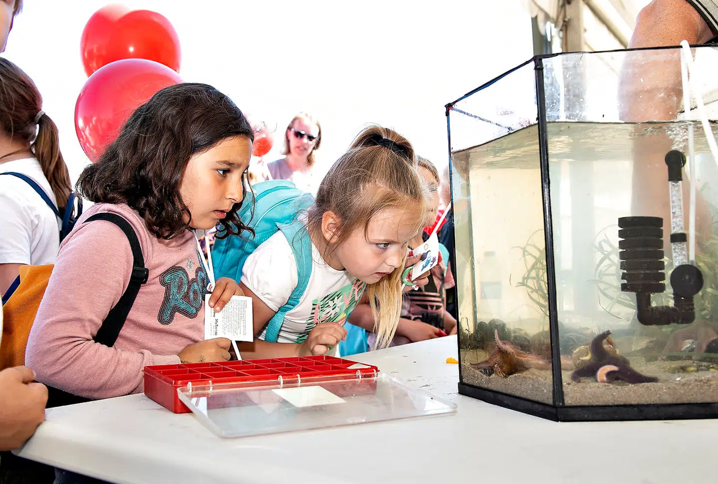 I modsætning til den liberale tænketank CEPOS og arbejdsgiverne mener Arbejderbevægelsens Erhvervsråd, AE, at den offentlige sektor herhjemme er på slankekur. Det skaber bekymring hos AE, fordi der bliver flere ældre og flere børn de kommende år. Arkivfoto: Henning Bagger/Ritzau Scanpix