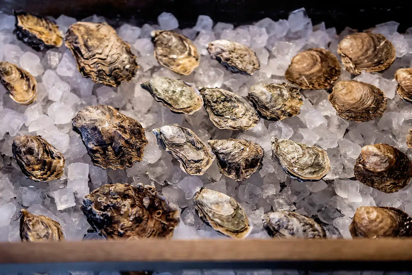 Rouge Oysters, østersbar. Gammel Kongevej 43, 1610 København V. Østers.