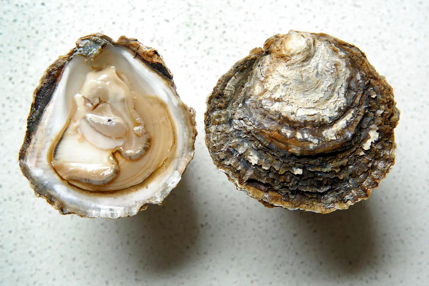 Limfjordsøsters – lille størrelse str. 3