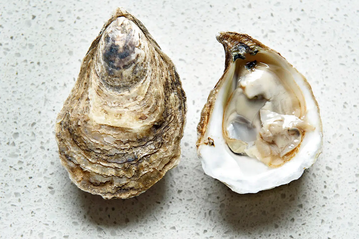 Acadia Pearl, str. 1