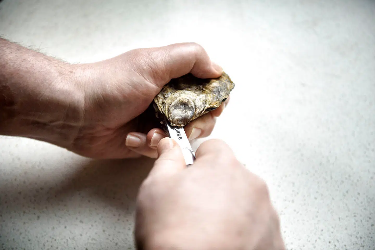 Det kræver øvelse at åbne en østers, så det er bare om at øve sig!