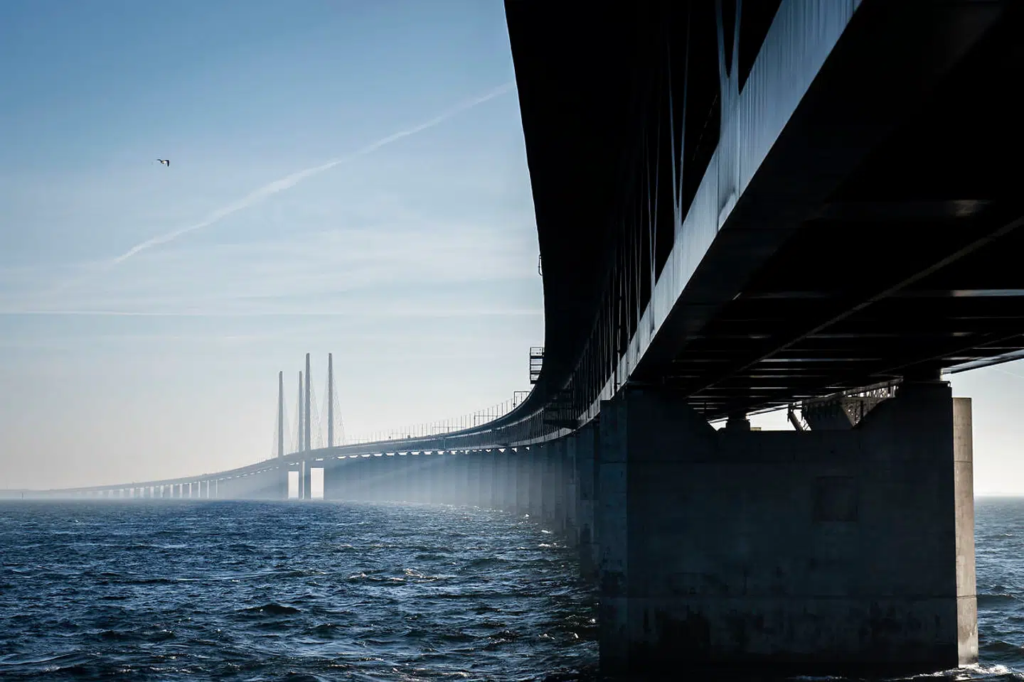 Coronapandemien har kostet væsentligt flere liv på den svenske end danske side af Øresundsbroen. Men de seneste måneder har Sverige konstateret ganske få coronarelaterede dødsfald sammenlignet med nabolandene.