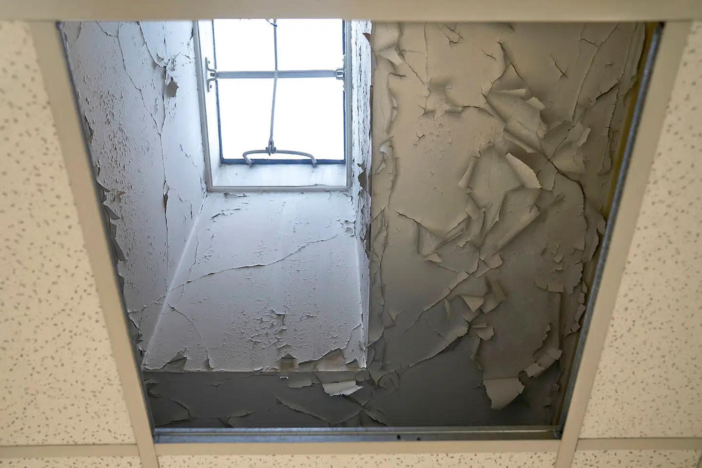 Lejerne i Kødbyen har store problemer med nedslidte og faldefærdige bygninger. Her ses fugtskader på grund af defekte vinduer, der får malingen til at hænge i flager, i et lejemål i Kødbyen.