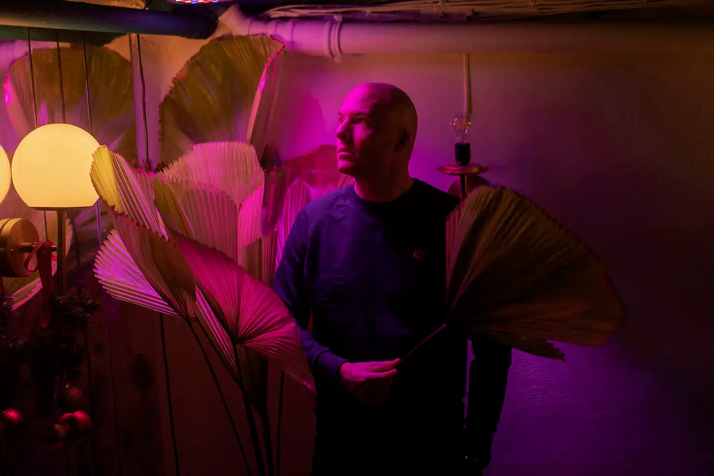 »Jeg er en technørd, så jeg fandt ud af at lave onlineshows, som jeg kunne sælge til virksomheder. Jeg var god til at quizze og kaste konfetti udover fredagsbaren – og det sikrede samtidig, at jeg ikke selv blev vanvittig. Men da jeg så i 2021 fik lov til at optræde igen, fandt jeg ud af, hvor stor forskellen i virkeligheden er.«