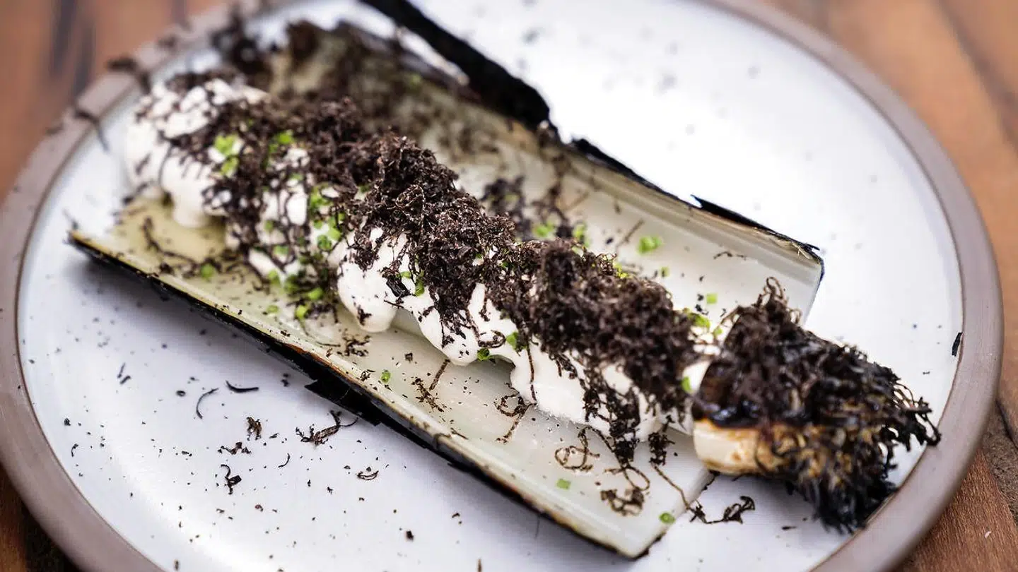 Grillet porre, sort trøffel og sesam ajo blanco.