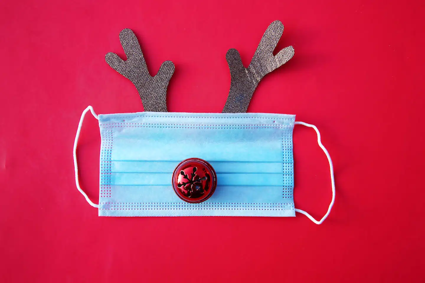 Alle rensdyr skal aflives på grund af smittefare.