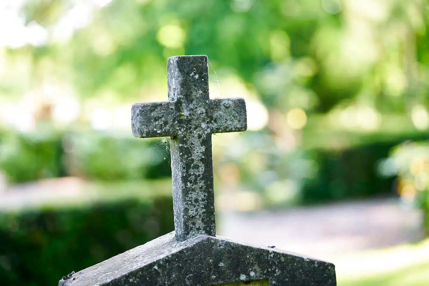 »En svaghed ved de branchebaserede underskriftindsamlinger er gruppedynamik,« skriver Aminata Amanda Corr i denne kulturkommentar.