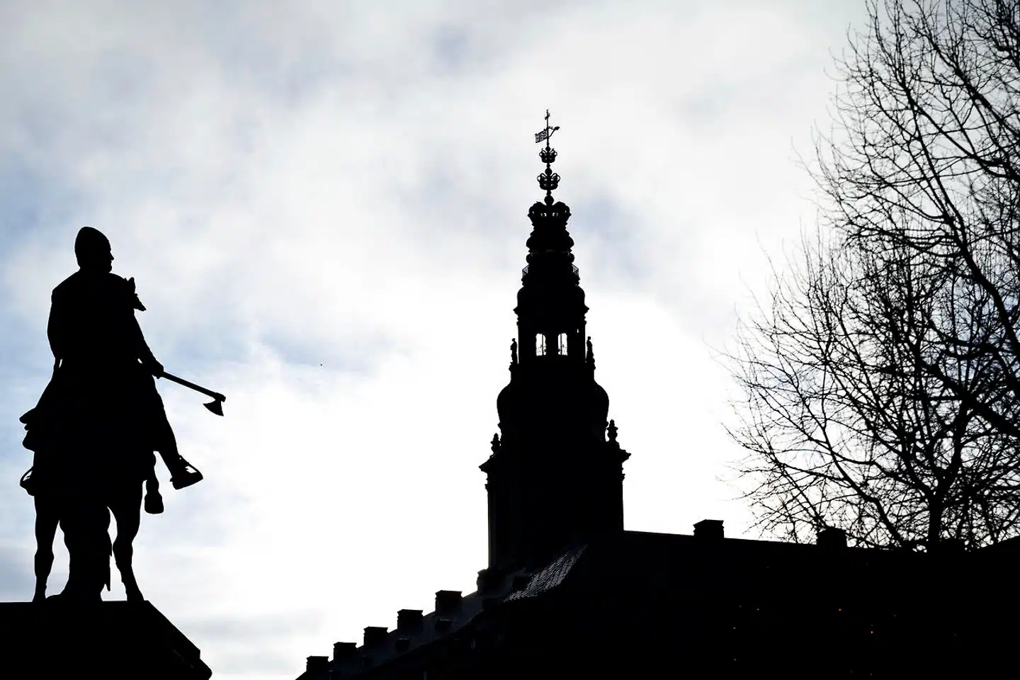 »For mig at se er der en masse dilemmaer forbundet med det at være embedsmand. Det synes jeg både minksagen og Støjberg-sagen viser,« siger Pernille Boye Koch, forskningschef ved Institut for Menneskerettigheder.