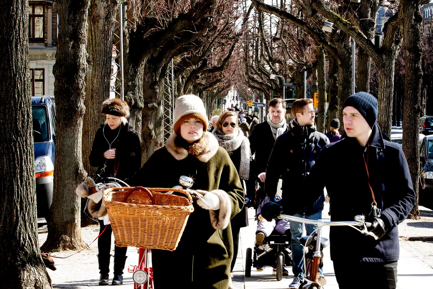 Frederiksberg Allé blev anlagt først i 1700-tallet. Indtil 1765 gik alleen kun fra Frederikberg Slot til Sankt Thomas Plads, men herefter blev den forlænget mod øst til Vesterbrogade. Alleen er godt en kilometer lang.