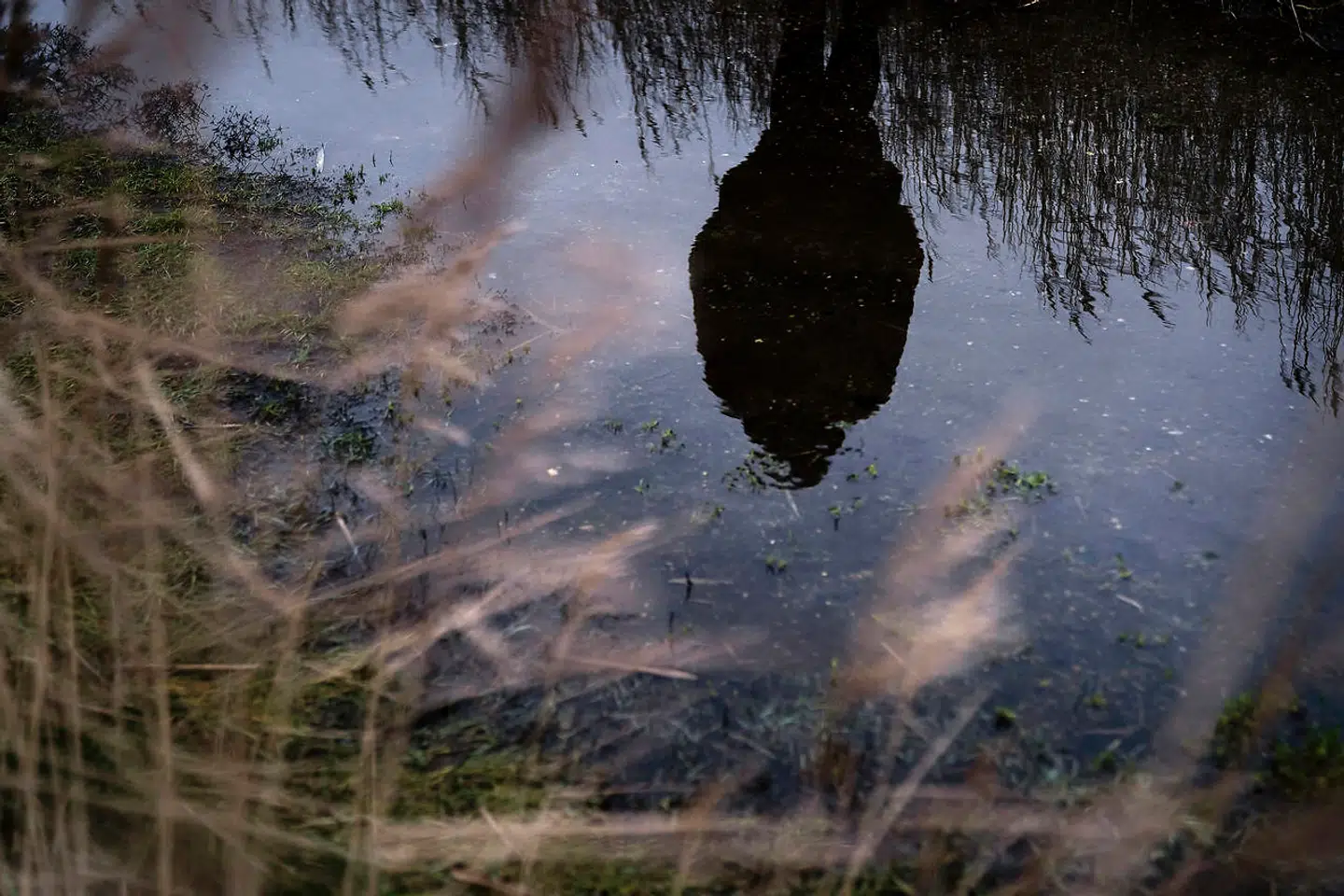 Problemerne til søs kan ikke løses, hvis man kun stiller krav til danske rederier og danskflagede skibe, mener kvinden. Under sin søpraktik befandt hun sig på et danskejet skib, der sejlede under Singaporeflag.