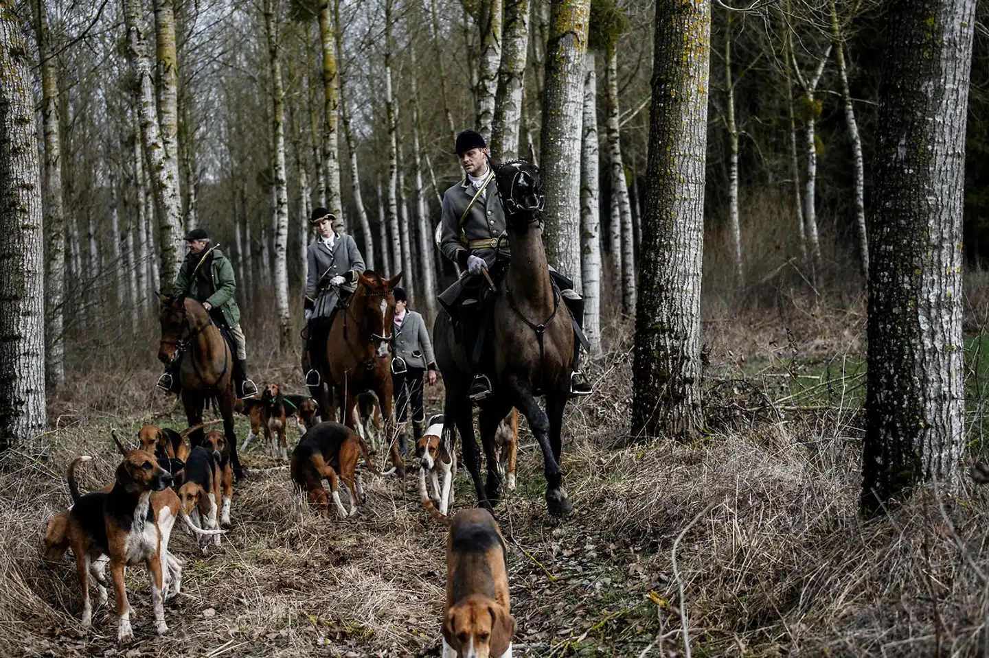 Såkaldt »chasse a la courre«, hvor jægere til hest og bistået af hunde forfølger et stykke vildt, er en af de jagtformer, der vækker størst modstand hos dyrevenner.