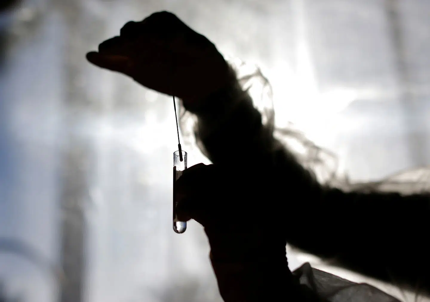 Arkivfoto af covid-19-test.