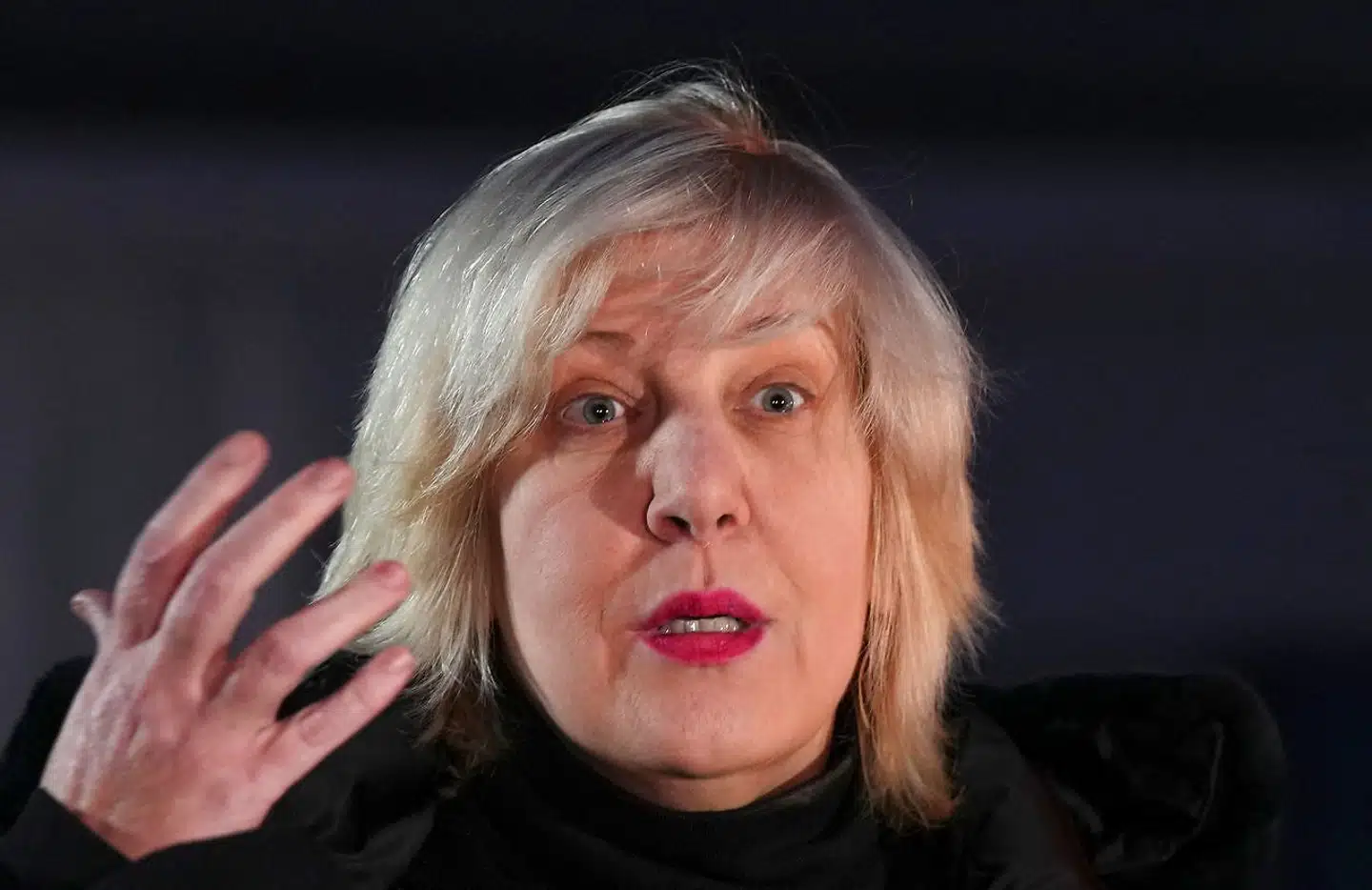 Europarådets kommissær for menneskerettigheder, Dunja Mijatovic, hilser undskyldningen velkommen »som et første vigtigt skridt«. (Arkivfoto)