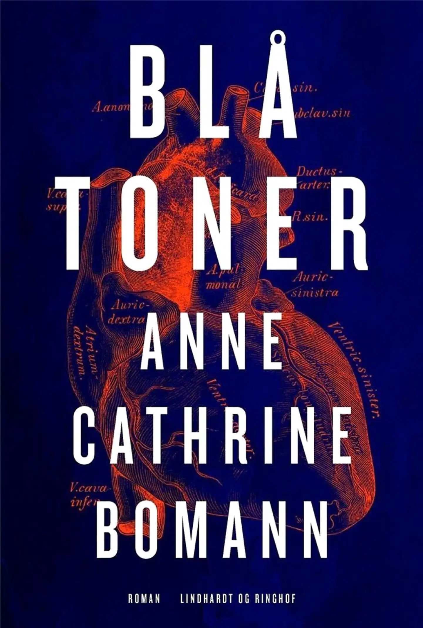 Bogen »Blå toner« af forfatter Anne Cathrine Bomann er en roman om sorg, kærlighed, medicin og videnskab.